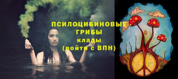 стафф Магадан