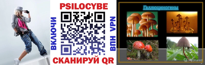 продажа наркотиков  Ершов  Галлюциногенные грибы Psilocybe 